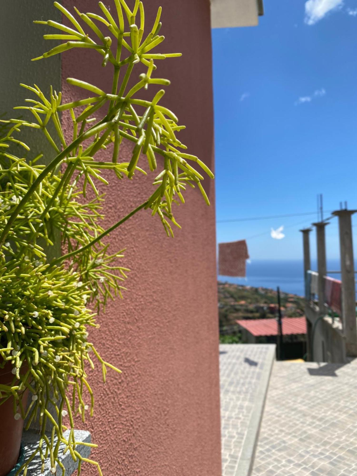 Holiday home Mine House Calheta (Madeira)